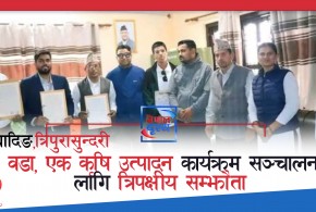 धादिङ,त्रिपुरासुन्दरी : 'एक वडा, एक कृषि उत्पादन' कार्यक्रम सञ्चालनका लागि त्रिपक्षीय सम्झौता
